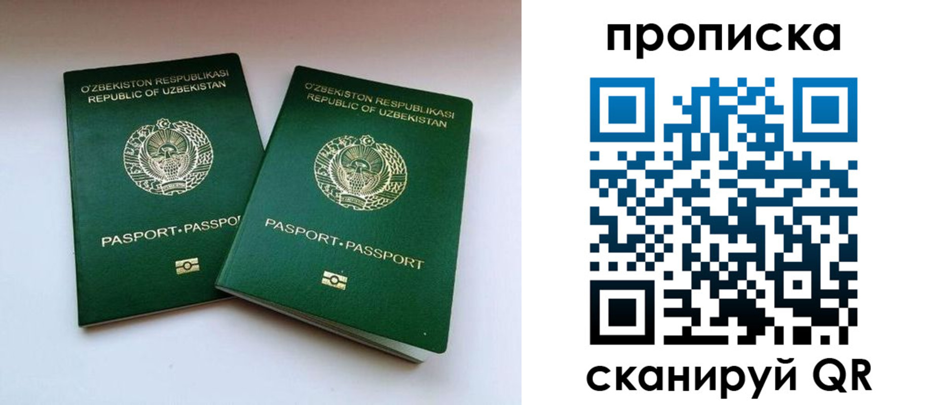 прописка поиск в Калужской области
